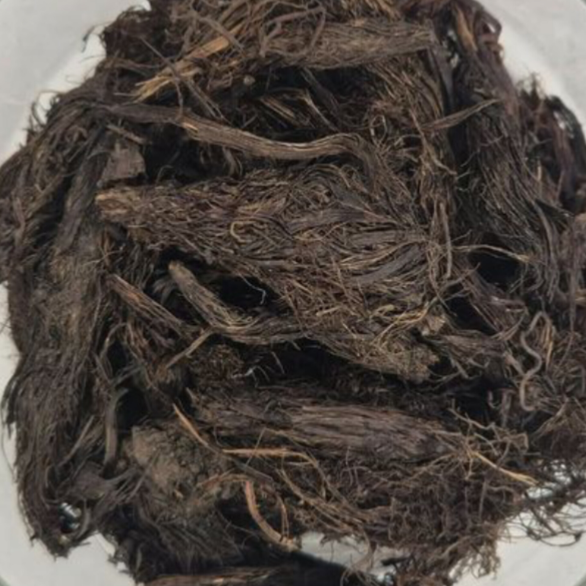 سنبل الطیب ۱۰کیلویی