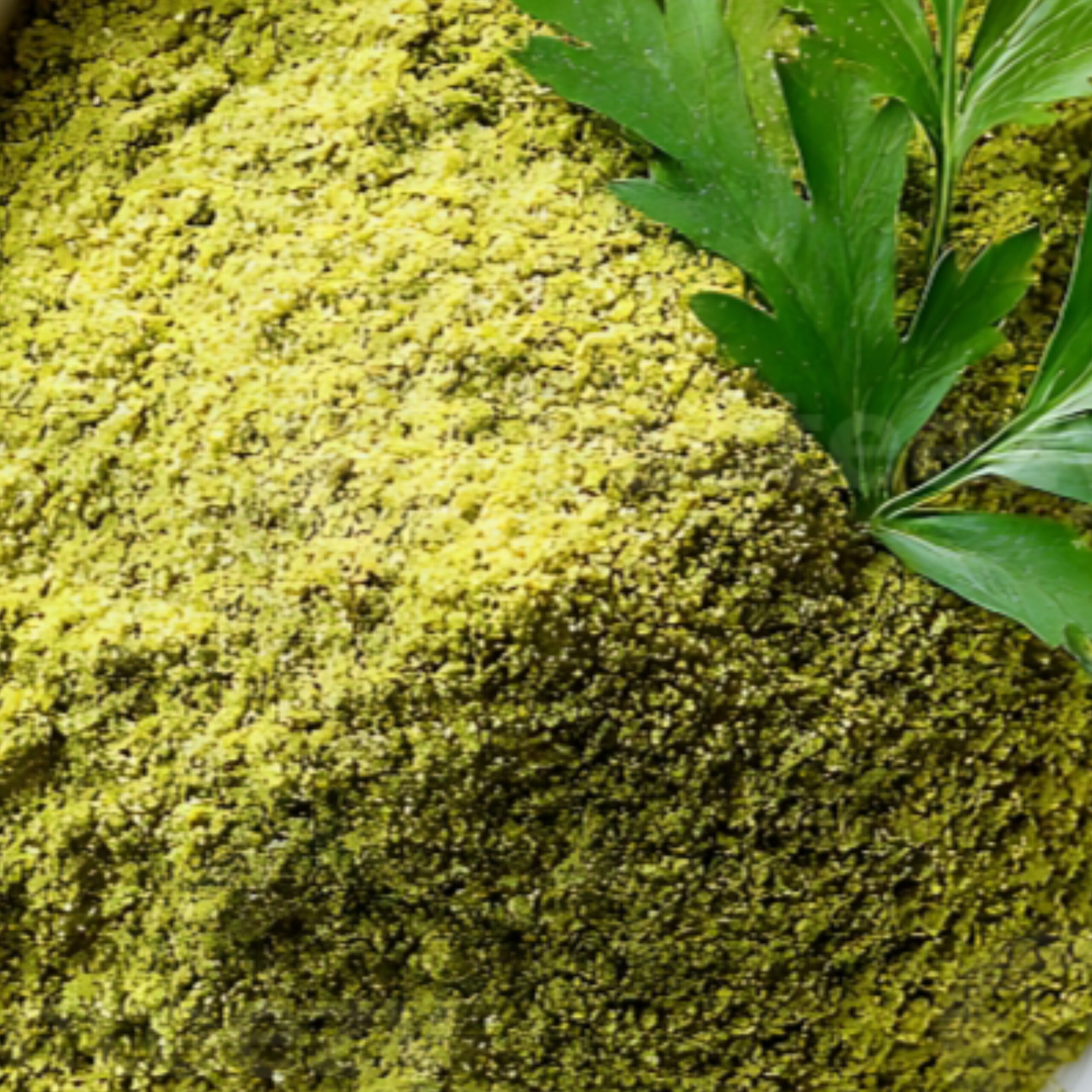 پودر جعفری