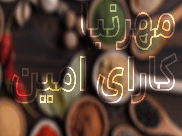 مهرنیا کارا امین