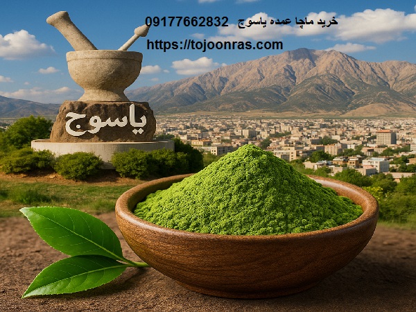 خرید ماچا عمده یاسوج