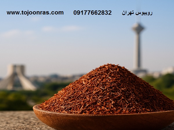 خرید رویبوس تهران