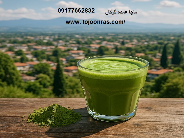 چای ماچا عمده گرگان