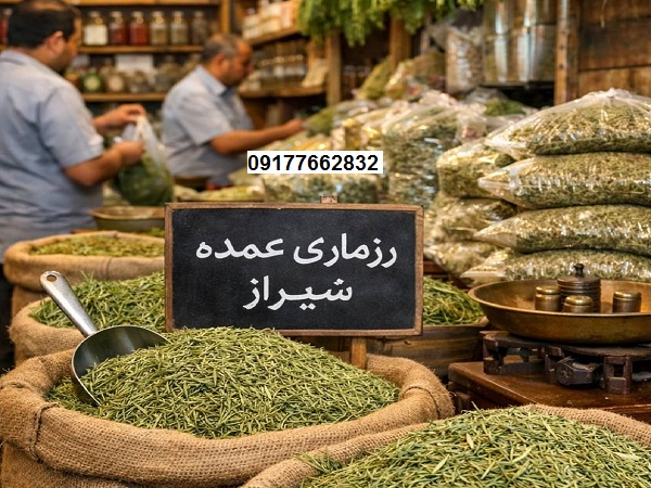 رزماری عمده شیراز 